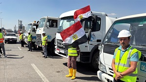 صورة الخبر